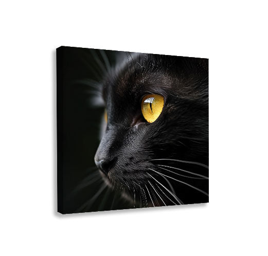 Cat #22