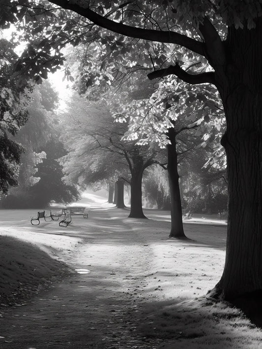 Park at Sunrise